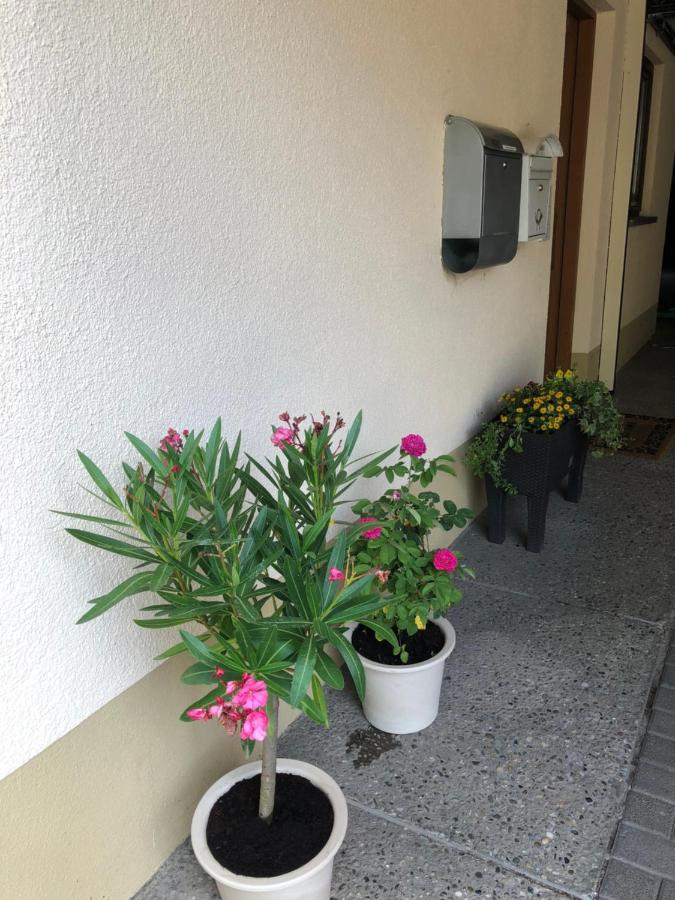 Ferienwohnung Am Gaessle Ettenheim Eksteriør bilde