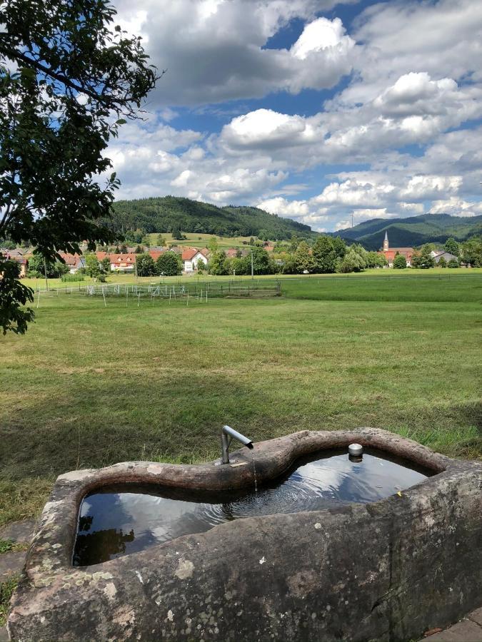 Ferienwohnung Am Gaessle Ettenheim Eksteriør bilde